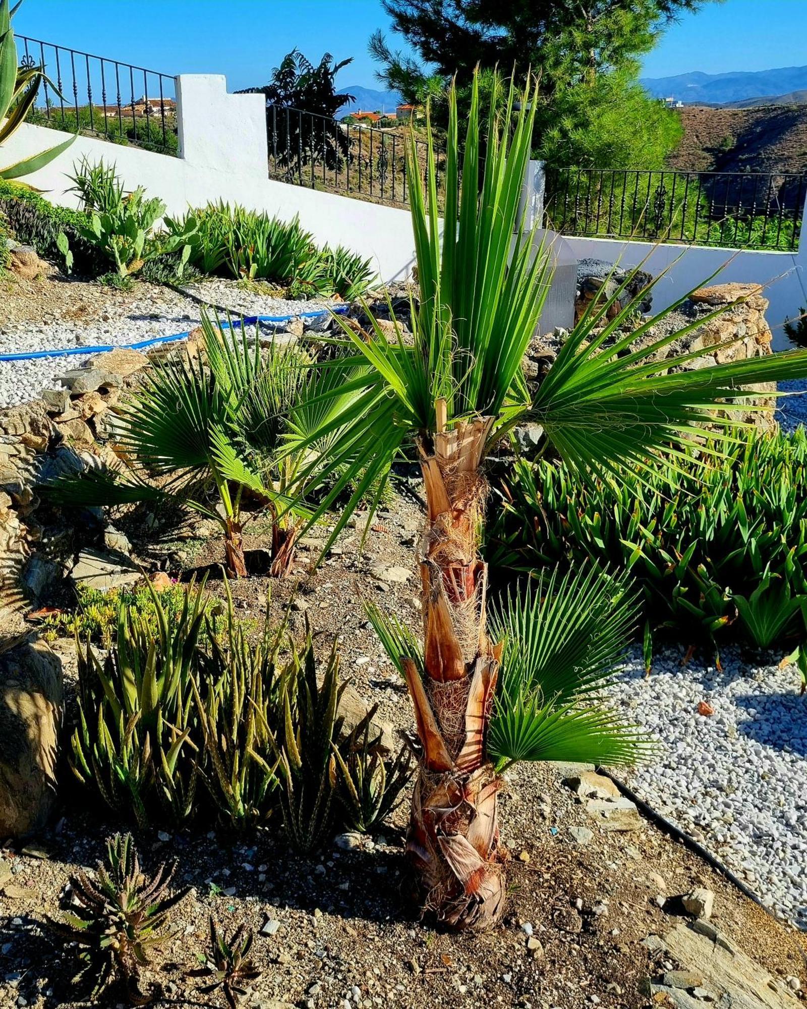 Cortijo Nudista Con Vistas Apartment Oria Exterior photo